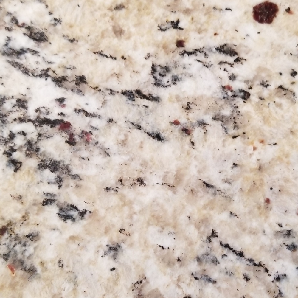 Meet your Posher, Liz